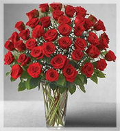 4 Dz  Long Stem Red Roses Arrangement