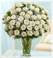 4 Dz  Long Stem White Roses Arrangement