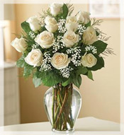 1 Dz  Long Stem White Roses Arrangement