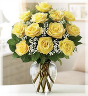 1 Dz  Long Stem Yellow Roses Arrangement