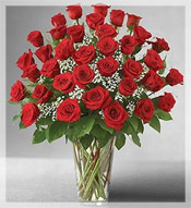 3 Dz  Long Stem Red Roses Arrangement