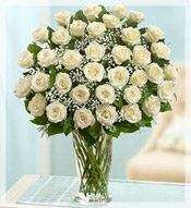 3 Dz  Long Stem White Roses Arrangement