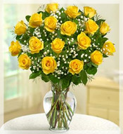 2 Dz  Long Stem Yellow Roses Arrangement