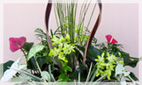 Planters & Live Plant Arrangements